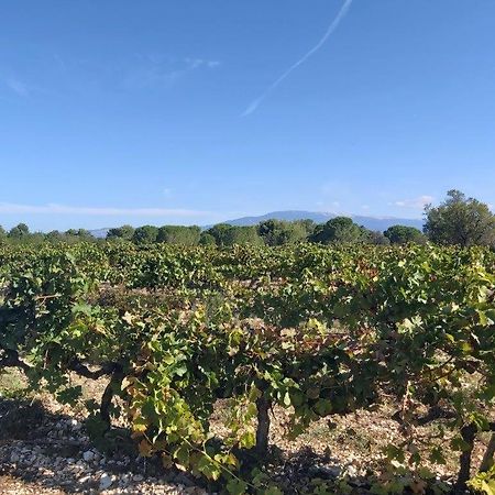 Gite Dans Les Pins Avec Piscine Villa Mazan Buitenkant foto