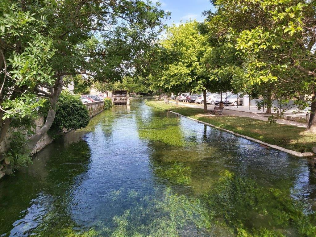 Gite Dans Les Pins Avec Piscine Villa Mazan Buitenkant foto
