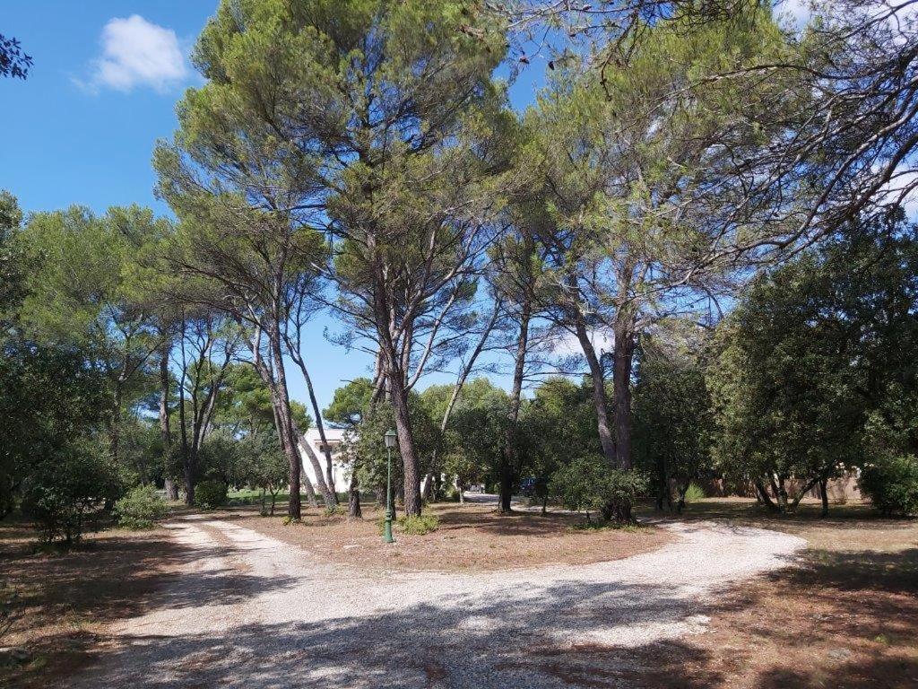 Gite Dans Les Pins Avec Piscine Villa Mazan Buitenkant foto