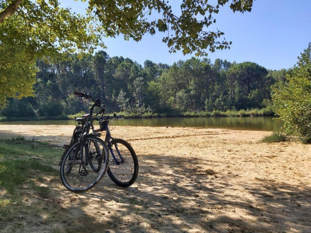 Gite Dans Les Pins Avec Piscine Villa Mazan Buitenkant foto